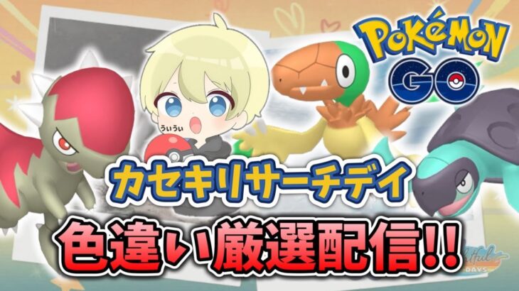【ポケモンGO】カセキリサーチデイ！色違い厳選配信！ #ポケモンsv ポケモンGO #pokemongo #pokemon #shorts