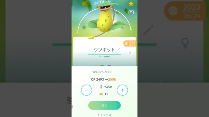 【ポケモンGO】メガウツボット登場を見越し、個体値100ウツボットをフル強化するだけ　 #pokemon 　#ポケモンgo