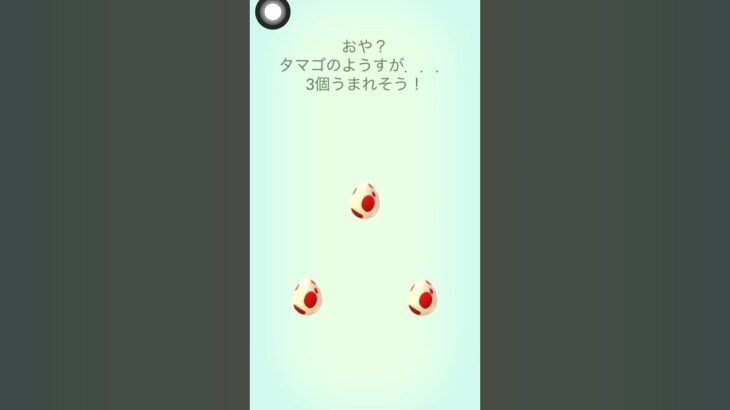 【ポケモンGO】色違いヤトウモリ狙って12kmタマゴ3連🥚#ポケモンgo #shorts