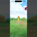 【ポケモンGO】アドベンチャーウィーク2025✨ウミディグダ✨3日間通って220体タップして色違い出た！#ポケモンgo #pokemongo #色違いポケモン