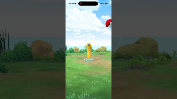 【ポケモンGO】アドベンチャーウィーク2025✨ウミディグダ✨3日間通って220体タップして色違い出た！#ポケモンgo #pokemongo #色違いポケモン