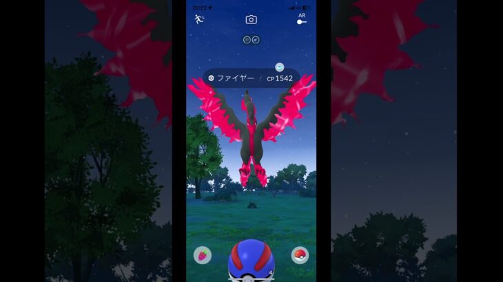 昨日ポケモンGOでおさんぽおこうしたらガラルファイヤー2体いました。1体はポケストップ間違えて押して消えたけどもう1体は捕まえました。ガラル三鳥は簡単に捕まえますか。チャンネル登録高評価コメントしてね