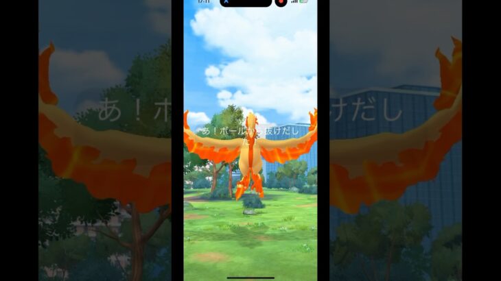 ポケモンGOガラル三鳥色違いゲット‼️2体目‼️#ポケモンgo #色違いポケモン #ガラルファイヤー #ガラル三鳥