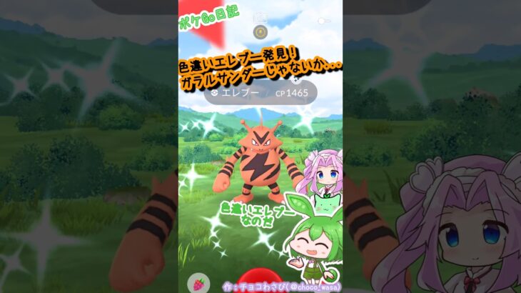 【ポケGO日記】色違いエレブーGETなのだ！でもこの配色ならガラルサンだぁ…にはならないかな？