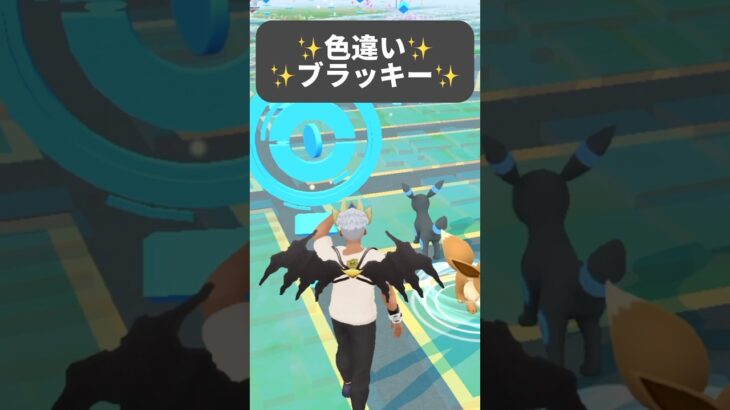 【ポケモンGO】色違いブラッキーが現れた!!【✨When I Got Shiny Umbreon Pokémon GO✨】【Pokemon Card Artwalk】【ポケポケ】