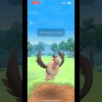 【ポケモンGO】バルジーナ大活躍！！#ポケモンgo #pokemongo#gbl #pvp #ポケモン #pokemon #goバトルリーグ #ポケモンgoバトルリーグ #ハイパーリーグ