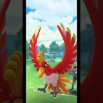 ポケモンユナイトもポケモンGOもフレンド募集してます　#pokemongo #高校生 #ポケモンgo #ポケモン #game #games #ゲーム　#shorts #short #pokemon