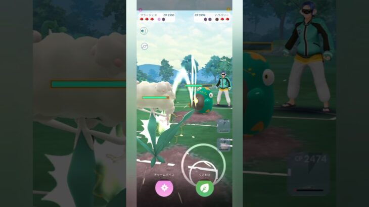 【ポケモンGO】シールドはフラージェスに集める！【ハイパーリーグ】【バトルリーグ】#shorts #ポケモンgo #goバトルリーグ #gbl #ハイパーリーグ #pokemongo
