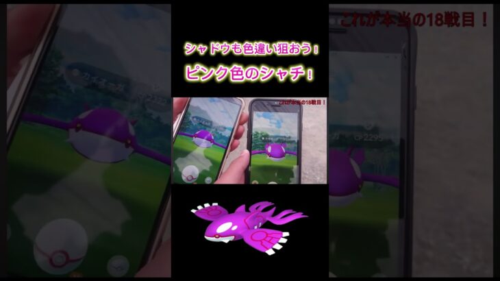 【ポケモンGO】今日はシャドウレイドウィークエンド最終日！みなはんも色違いカイオーガ狙って頑張りましょう！ピンク色のシャチ！#shorts #pokemongo #ポケモンgo