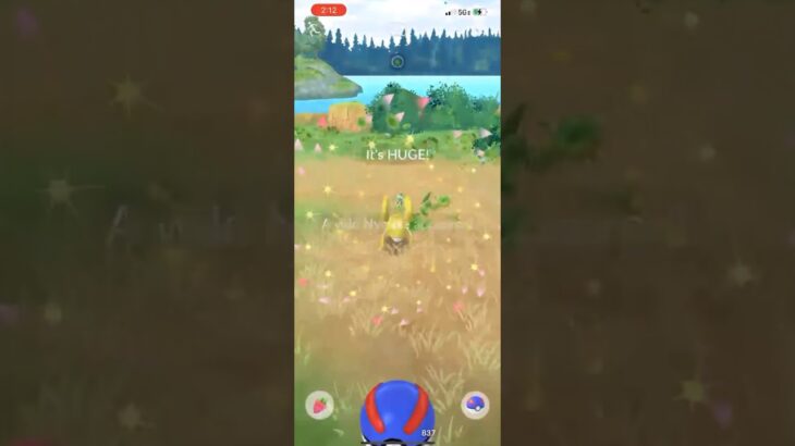 ✨I Caught THIS XXL SHINY Pokemon in Pokemon Go!✨ #shorts #pokemon