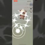 ✨I Hatched THIS SHINY Pokemon in Pokemon Go!✨ #shorts #pokemon