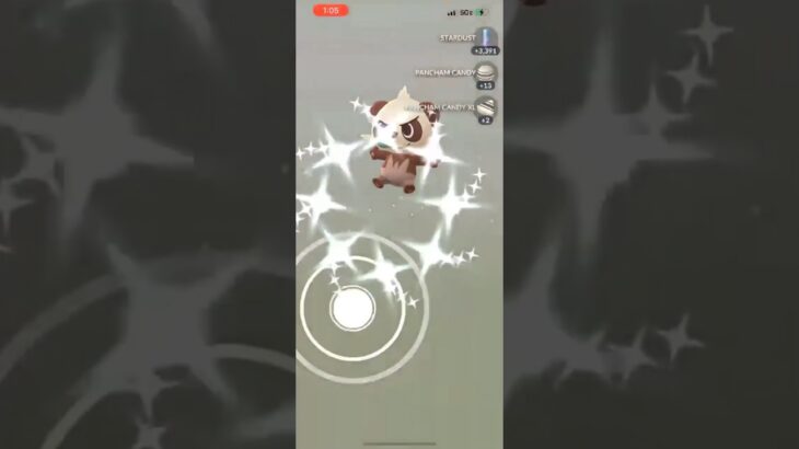 ✨I Hatched THIS SHINY Pokemon in Pokemon Go!✨ #shorts #pokemon