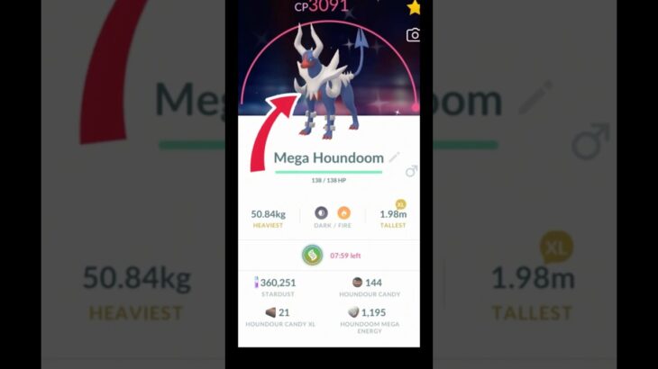 LETS GO!! ✨ Shiny Mega Houndoom ✨Evolve🧬 in Pokemon GO.