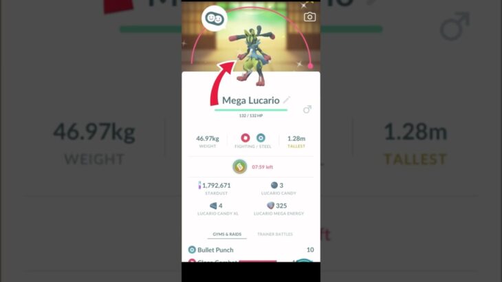 LETS GO!! ✨ Shiny Mega Lucario ✨Evolve🧬 in Pokemon GO.