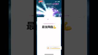 「強化コストえぐすぎ…シャドウカイオーガをMAXまで育成！」#ポケモンGO #シャドウカイオーガ #カイオーガ #シャドウポケモン #強化 #強化MAX #PL50 #GBL #マスターリーグ