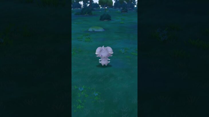 Pokemon Go Shenanigans
