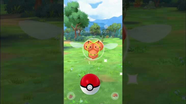Shiny Combee 🧡🐝 || Pokémon GO