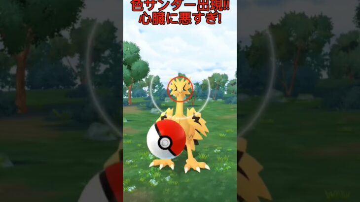 ボールはしっかり用意しようね☆#ガラル三鳥#ポケモンgo#色違い#ガラルサンダー #チェリーポップ