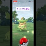 登録お願いします #ポケモンgo #ポケモン