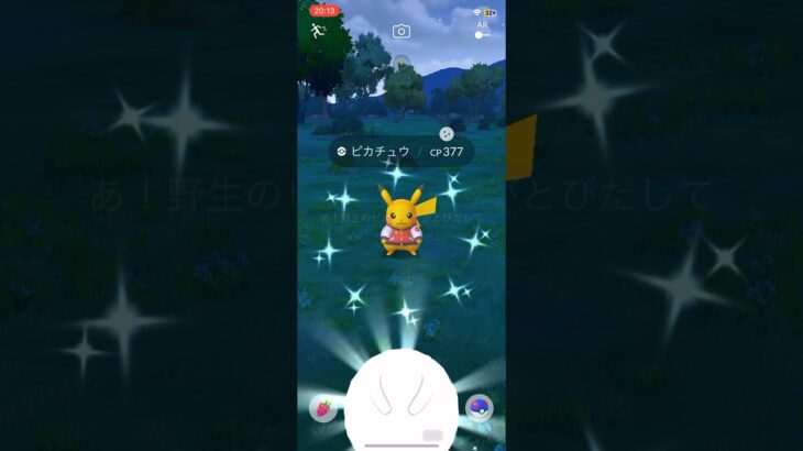 #ポケモンgo 滑り込みゲット！