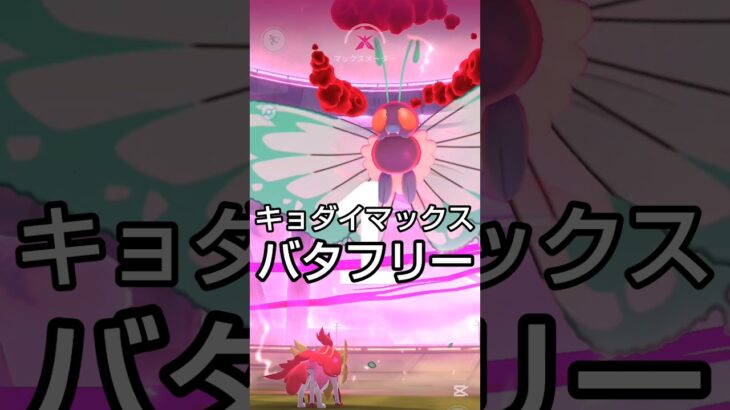 【キョダイマックスバタフリーやってみた】 #ポケモン #ポケモンgo #バタフリー