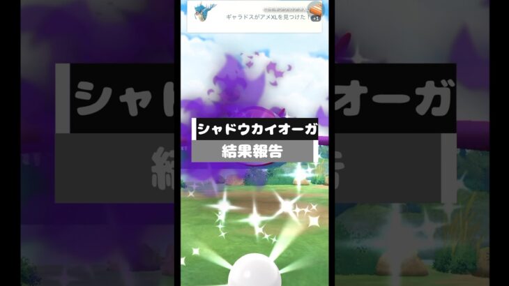 カイオーガシャドウレイド #ポケモンgo #シャドウレイド #色違い #カイオーガ #リトレーン
