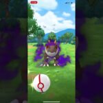 チゴラス捕獲 #ポケモン #チャンネル登録お願いします #ポケモンgo