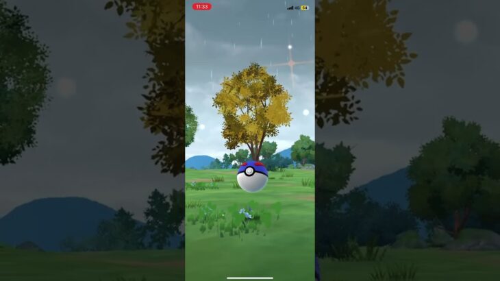 色違いワッカネズミ捕獲#ポケモンgo