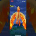【ガラルファイヤー色違い】#ポケモンgo #ポケgo #ガラル三鳥