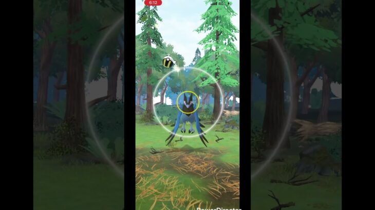 【ポケモンgo】　野生のアオガラスを捕獲！ #ポケモンgo #pokemongo #ポケモン #pokemon #アオガラス