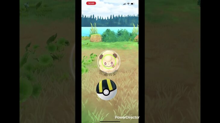 【ポケモンgo】　色違いのペロッパフを捕獲！ #ポケモンgo #pokemongo #ポケモン #pokemon #ペロッパフ