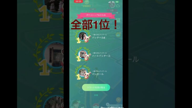 【ポケモンgo】　おひろめの結果！ #ポケモンgo #pokemongo #ポケモン #pokemon #パッチール #1位
