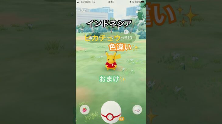 インドネシアピカチュウ光りました✨　#ポケモン #ポケモンgo #ポケモンgo色違い #色違いポケモン #pokemongo #pokemon