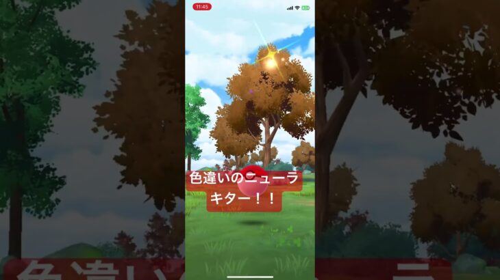色違いのニューラきたー！【#ポケモン #ポケモンgo #pokemon 】