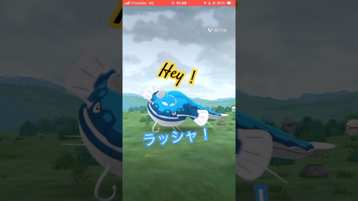 ヘイラッシャ初捕獲！ #ポケモンgo #ポケモン #pokemon #ポケットモンスター #pokemongo #ヘイラッシャ