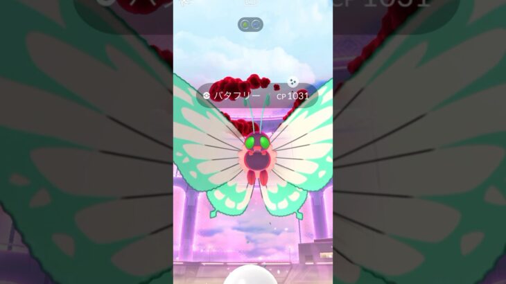 #ポケモンgo #pokemongo キョダイマックスバタフリー