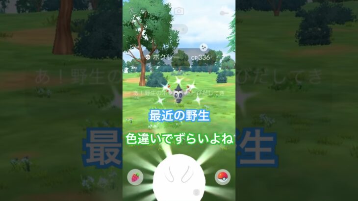 最近の野生ポケモン渋いです。#ポケモン #ポケモンgo #色違いポケモン #色違い #pokemongo #pokemon