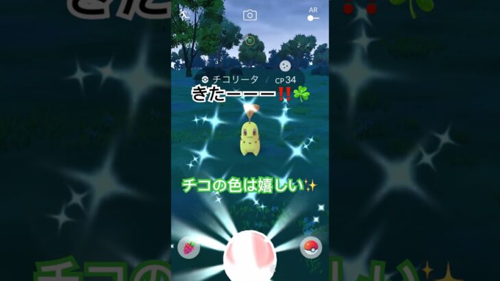 御三家の色違いは嬉しいよね☘️#ポケモン #ポケモンgo #色違いポケモン #色違い #pokemongo #pokemon