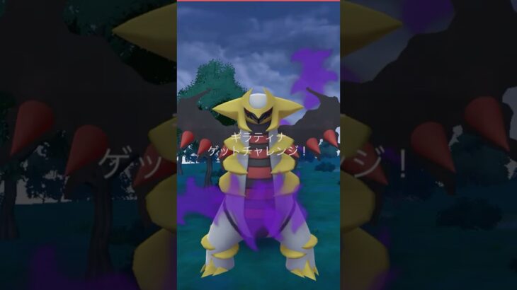 ⚠️シャドウギラティナ🐲👿個体値ガチャ‼️#ポケモンgo #pokemongo #pokemongoshorts