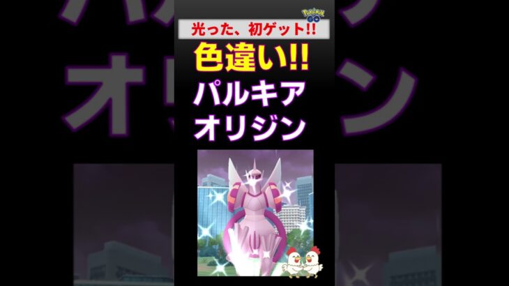 【色違い！パルキアオリジン】念願の初ゲット #ポケモンgo #pokemongo #レイドバトル #ポケモン #パルキア #色違い #shiny