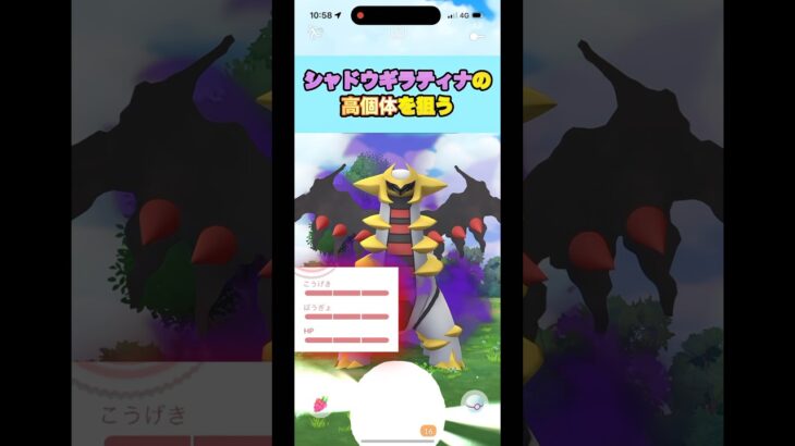 シャドウギラティナの高個体が欲しい、#ポケモンgo #pokemongo #shorts