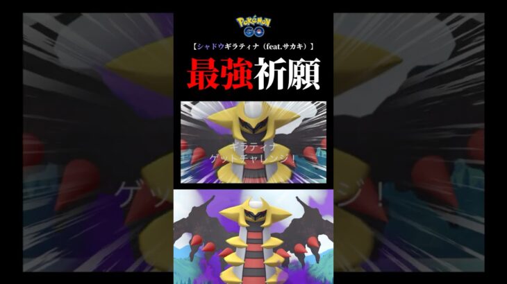 【伝説シャドウ】あ！シャドウギラティナがとびだしてきた！#ポケモンgo #シャドウギラティナ #サカキ #shorts