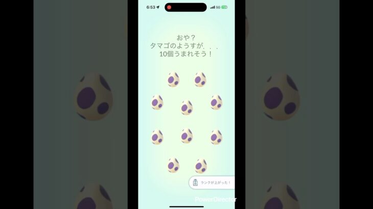 pokemon ポケモンgo  10連たまご孵化　#ポケモン #ドキメキダイアリー #ポケットモンスター #ポケモンgo #10連チャレンジ　#10Km # 10連