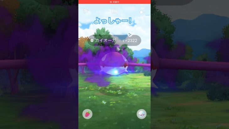 色違いシャドウカイオーガきた！#ポケモン #pokemon #ガチャ神引き #ポケモンgo #ポケモンgo色違い #ポケモンgoレイド #ポケgo