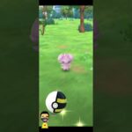 🚨✨️shiny baby✨️🚨 #shorts  #fypシ #pokemongo #ポケモンGO #shinypokemon #mobile