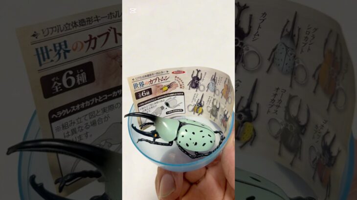 【ガチャ替え歌】夏休みはカブトムシを見つけに行こう＃shorts