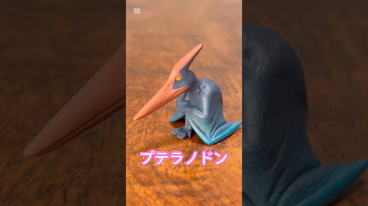 【ガチャ替え歌】プテラノドンはガッカリして帰って行きました＃shorts