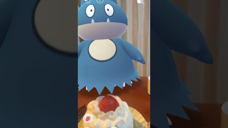 ゴンベとお誕生日会❤️#shorts #ポケモンgo #pokemon #ケーキ