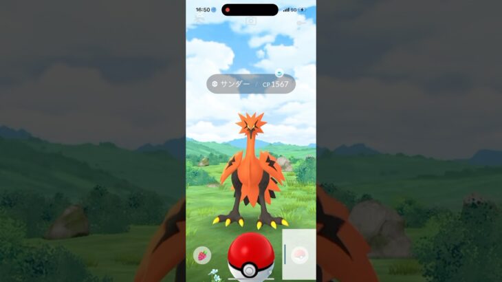 ガラル三鳥出現！でもトラブルが、、、#shorts #pokemongo #pokemon #ポケモンgo #ポケモン