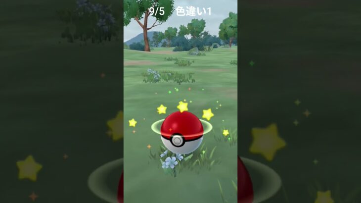 9/5　色違い1　ゴース